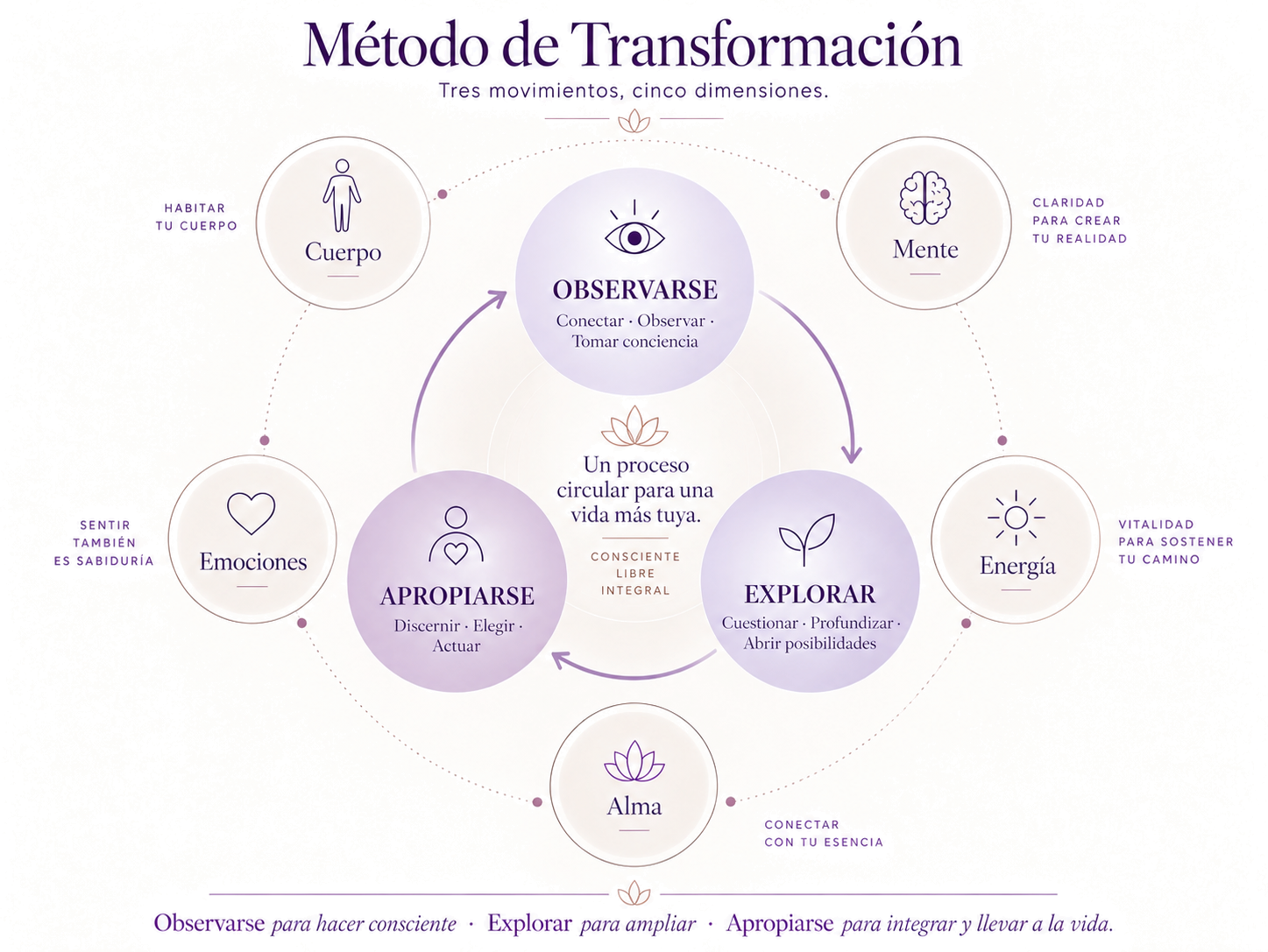 Método de Transformación: tres movimientos, cinco dimensiones.